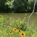 Beaver Lakes Campground