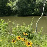 Beaver Lakes Campground ico
