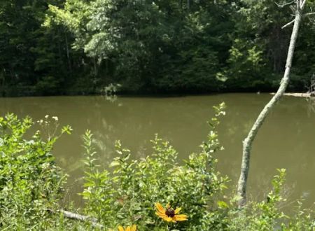 Beaver Lakes Campground