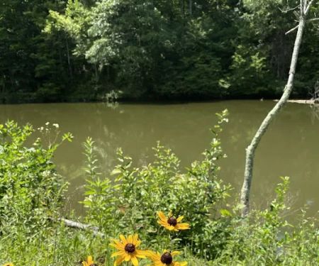 Beaver Lakes Campground