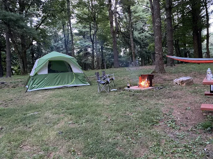 Rocky Knob Picnic Area Picture 6