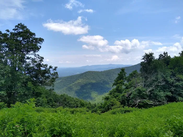 Rocky Knob Picnic Area Picture 7