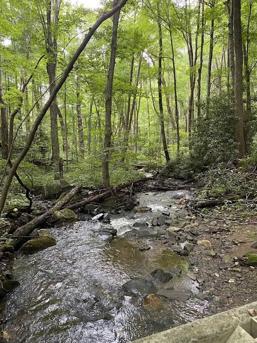 Rocky Knob Picnic Area Picture 5