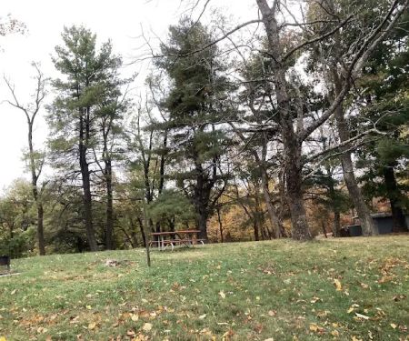 Rocky Knob Picnic Area