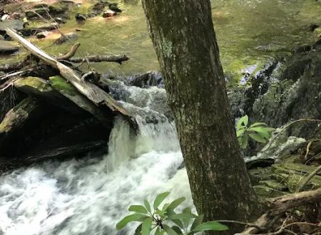 Rocky Knob Recreation Area