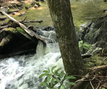 Rocky Knob Recreation Area