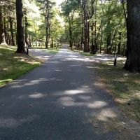 Blue Ridge Parkway Rocky Knob Information Center ico