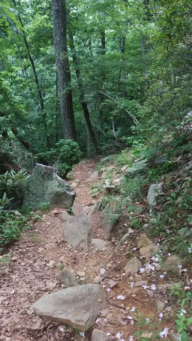 Blue Ridge Parkway Rocky Knob Information Center Picture 7