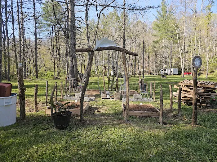 Hippie Hollow Picture 5