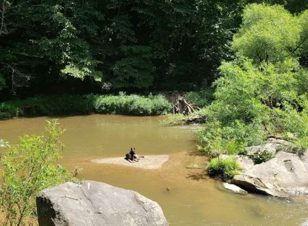 Hippie Hollow