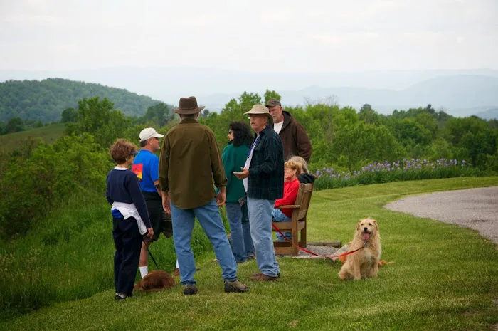 Virginia Highland Haven Airstream Park Picture 10