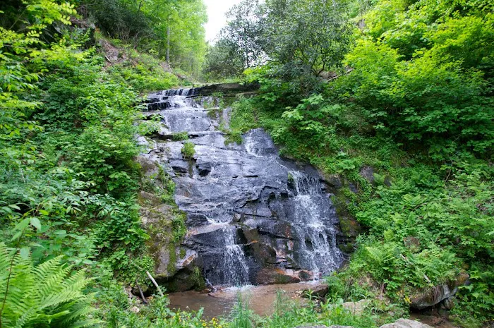 Virginia Highland Haven Airstream Park Picture 4