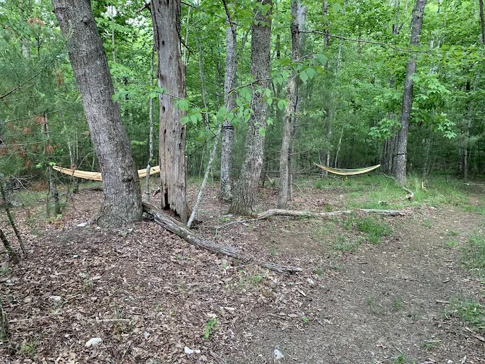 Camp Creek at Little River Farm Picture 3