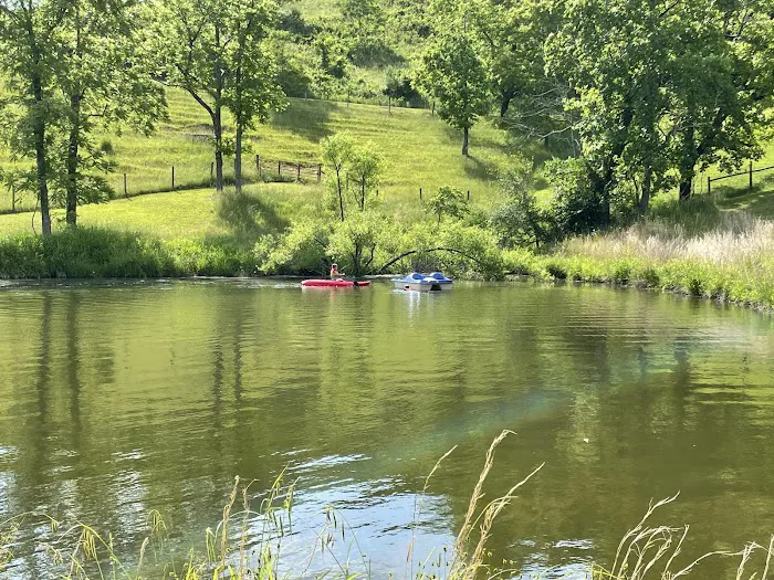 Camp Creek at Little River Farm Picture 8