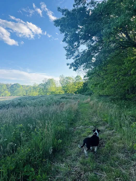 Wild Meadows Picture 2
