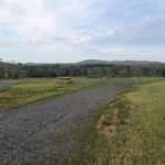 Wild Meadows