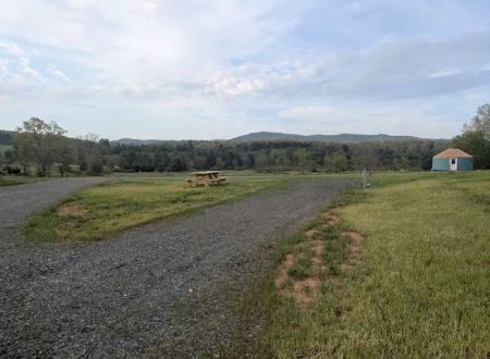 Wild Meadows