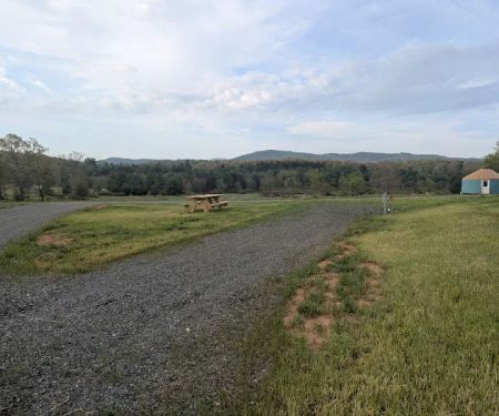 Wild Meadows