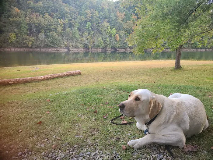 Gatewood Park Campground Picture 10
