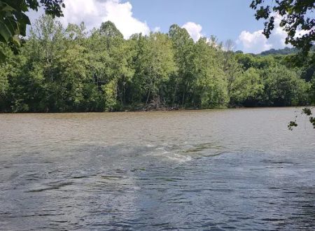 River Junction Campground and Canoeing