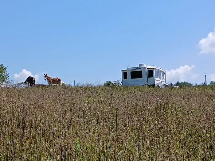Panther Creek Campground Picture 7