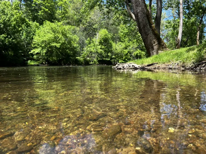Paddlers Creekside Campground Picture 5