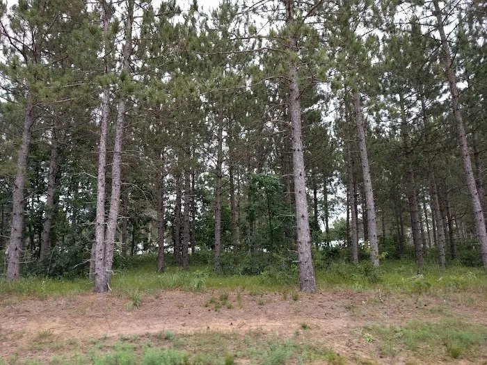 Homegrounds RV Park Picture 10