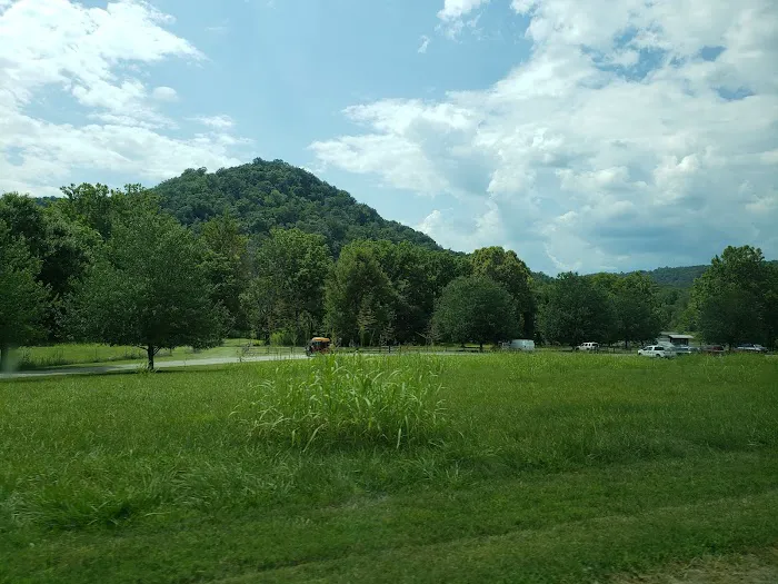 Foster Falls Camp Picture 1