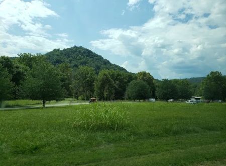 Foster Falls Camp