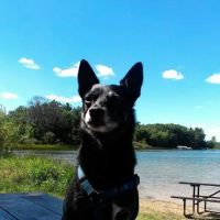 Oak Lane Mobile Home Park ico