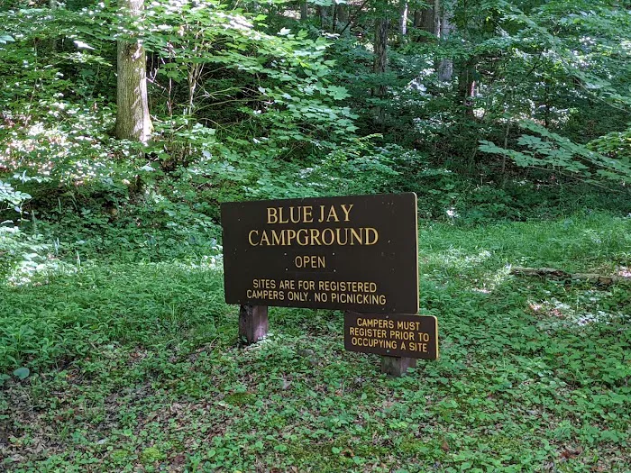 Blue Jay Campground Picture 3