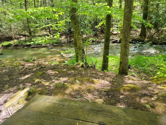 Blue Jay Campground Picture 7