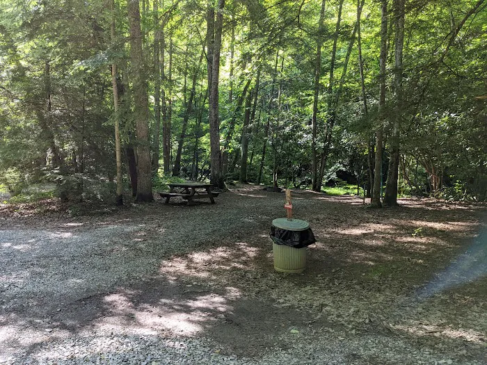 Blue Jay Campground Picture 4