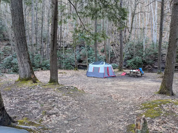 Mash Fork Campground Picture 3