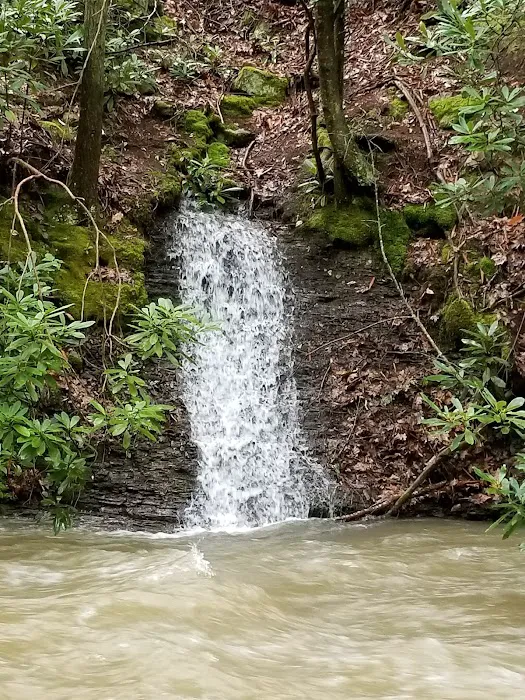 Mash Fork Campground Picture 2