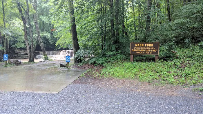 Mash Fork Campground Picture 1
