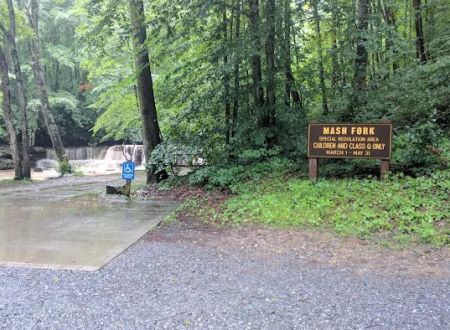Mash Fork Campground