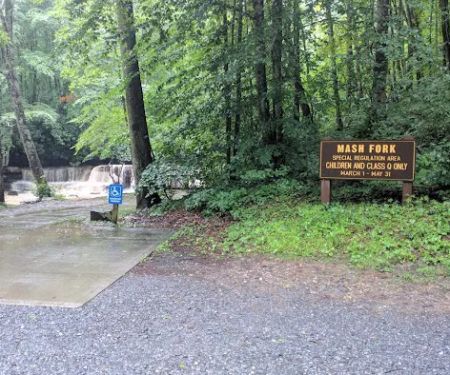 Mash Fork Campground