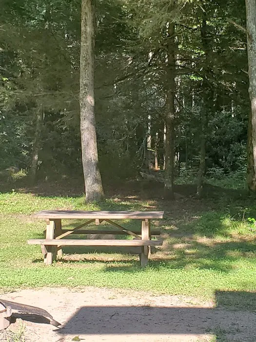 Mash Fork Campground Picture 9