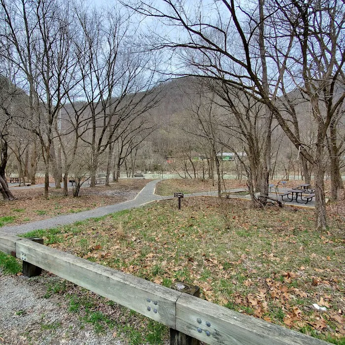 Army Camp Rd Campground Picture 10
