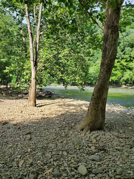 Army Camp Rd Campground Picture 2