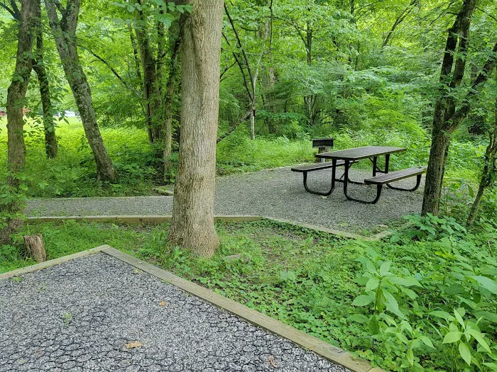 Army Camp Rd Campground Picture 4