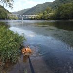 Stone Cliff Campground