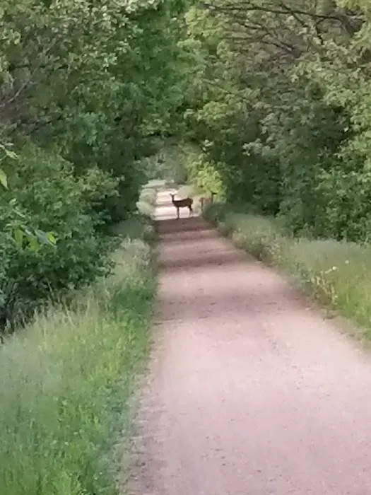 Cortland Acres Picture 5