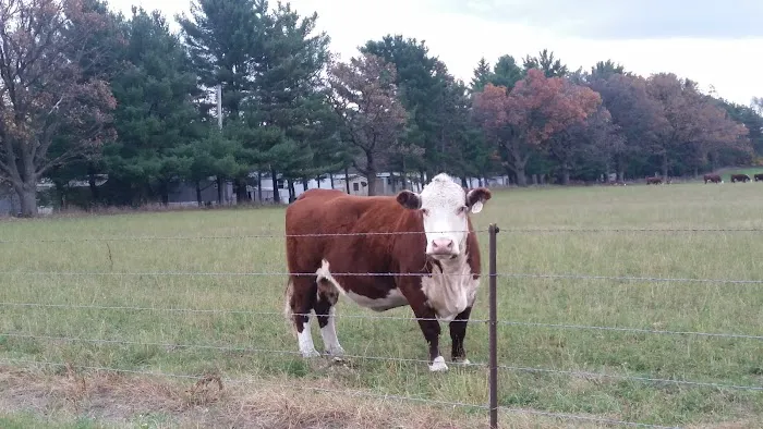 Cortland Acres Picture 2
