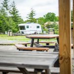 Wood Mountain Road Campground