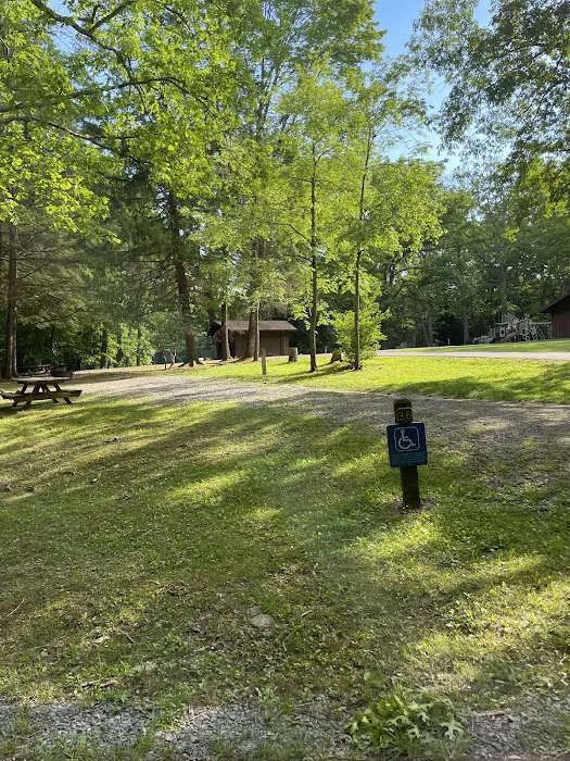 Babcock State Park Campground Picture 4