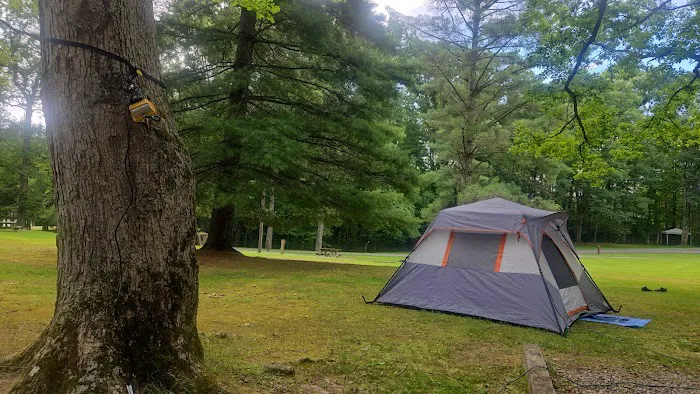 Babcock State Park Campground Picture 8