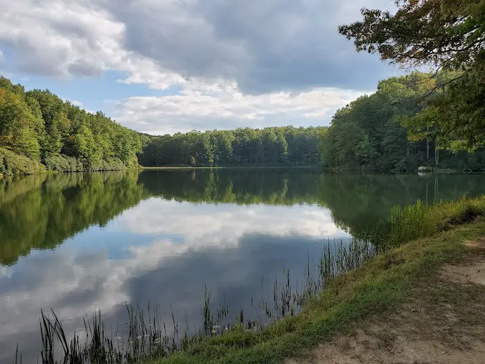 Babcock State Park Campground Picture 10