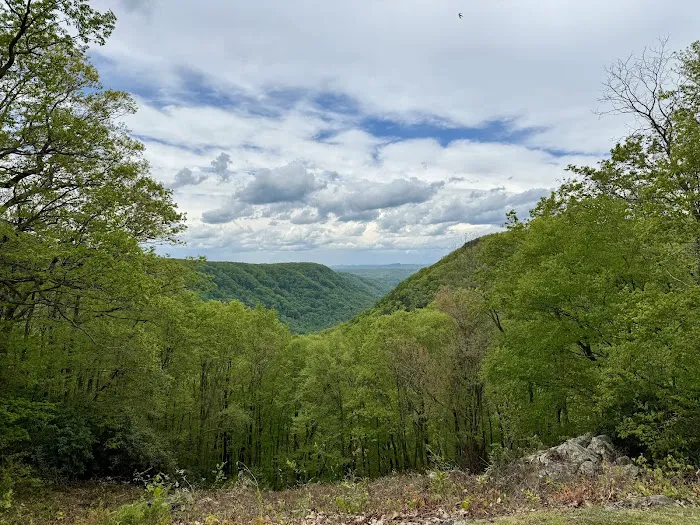 Babcock State Park Campground Picture 9